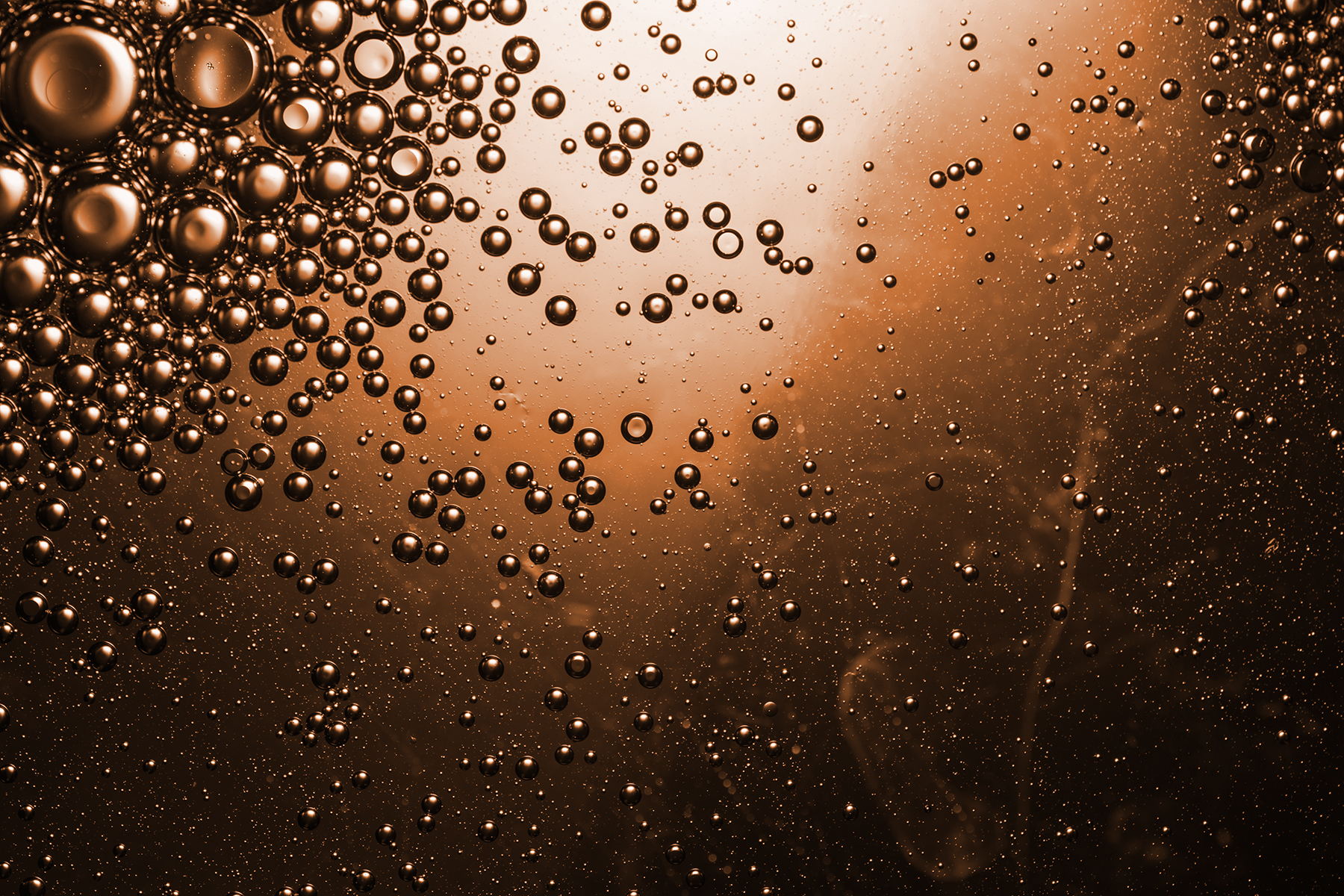 MICC_1.jpg feature image