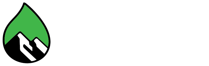 Onus IV logo