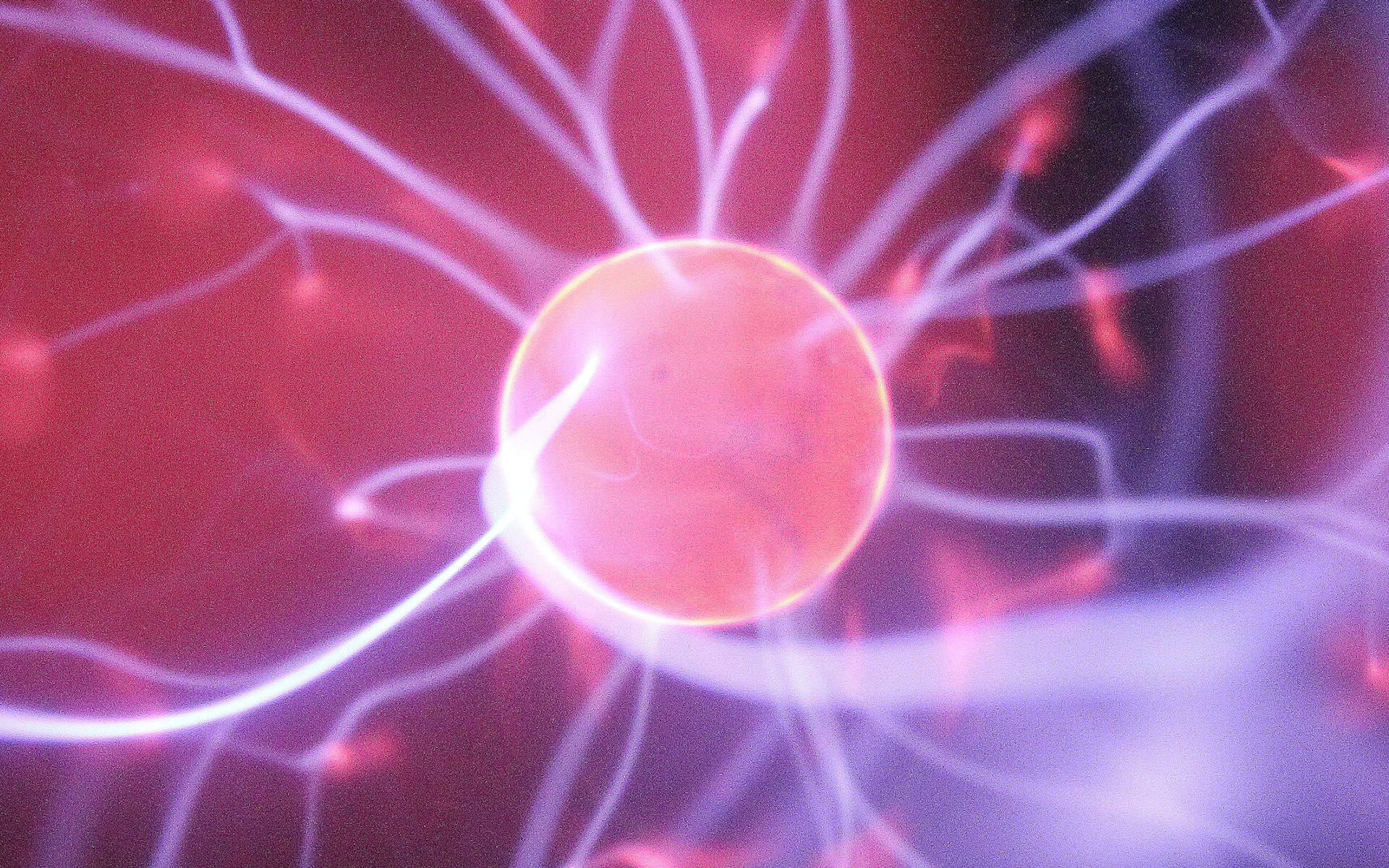image-nad-plus.jpg feature image