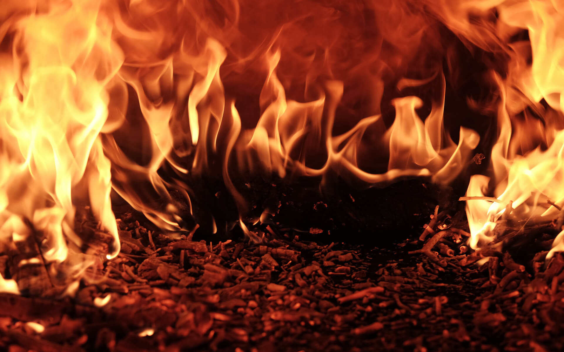 Header image for Phoenix product page